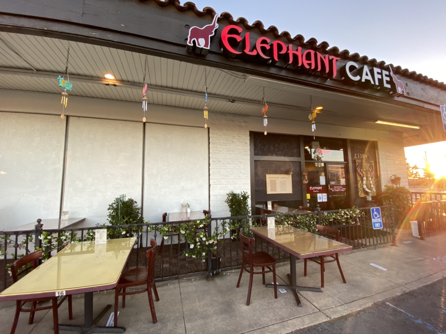 Elephant cafe